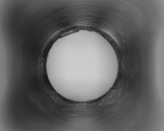 X0000096700968200802191445