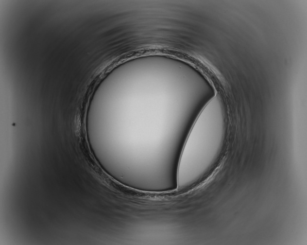 X0000096700969200802191445