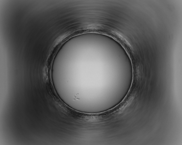 X0000096700970200802191445