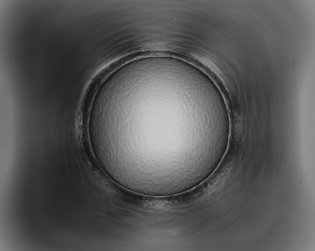 X0000096700971200802191445