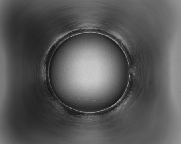 X0000096700973200802191445