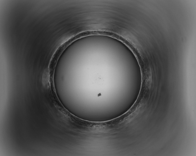 X0000096700974200802191445