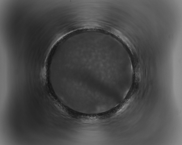 X0000096700975200802191445
