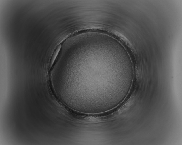 X0000096700977200802191445