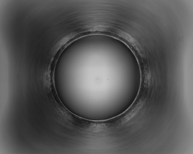 X0000096700978200802191445