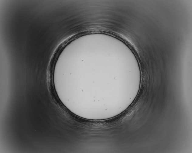 X0000096700979200802191445