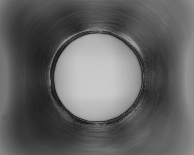 X0000096700980200802191445