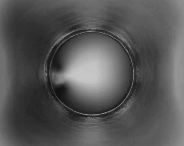 X0000096700981200802191445