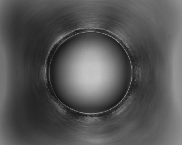 X0000096700982200802191445