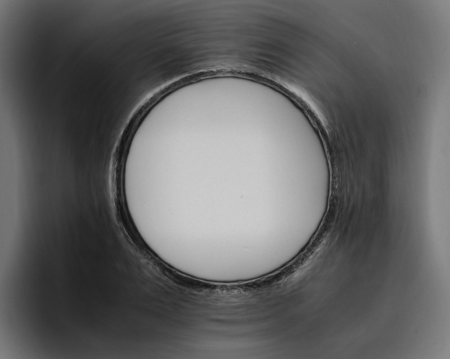 X0000096700983200802191445