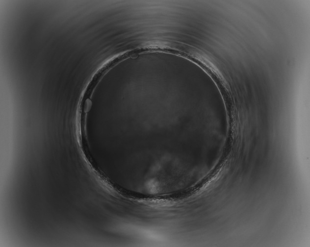 X0000096700984200802191445