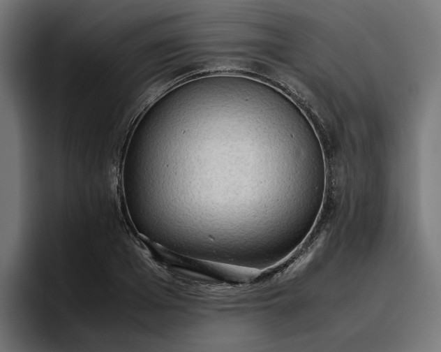 X0000096700985200802191445