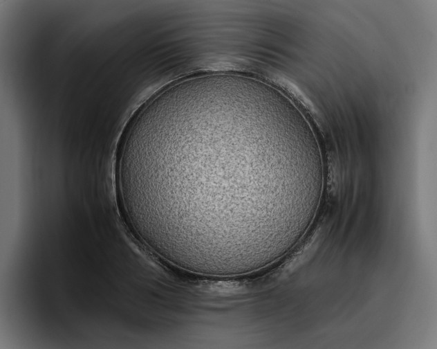 X0000096700986200802191445