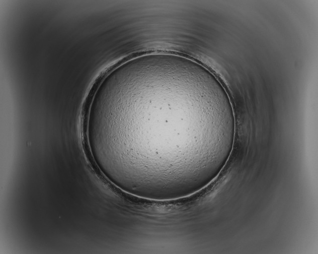 X0000096700987200802191445