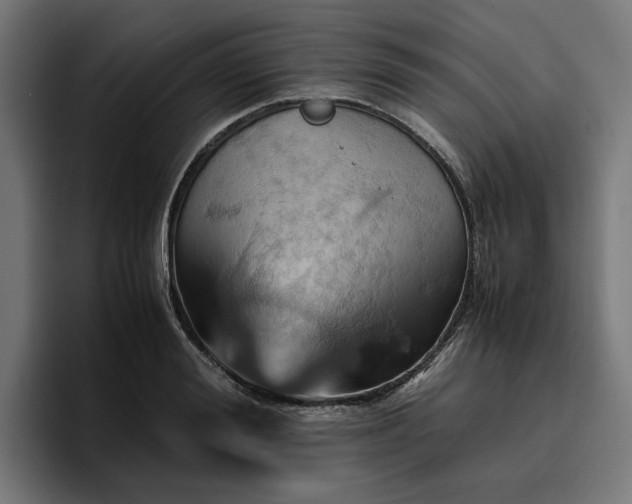 X0000096700988200802191445