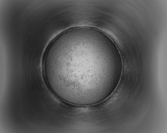 X0000096700990200802191444