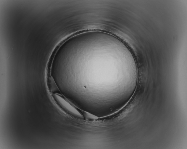 X0000096700991200802191444