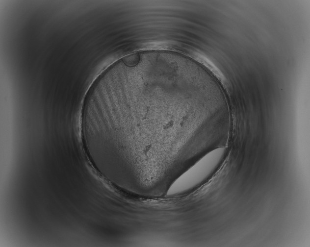 X0000096700994200802191444