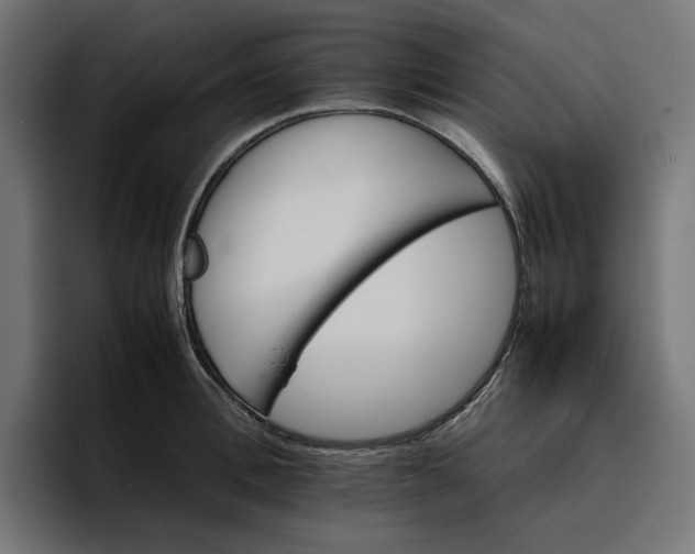 X0000096700996200802191444