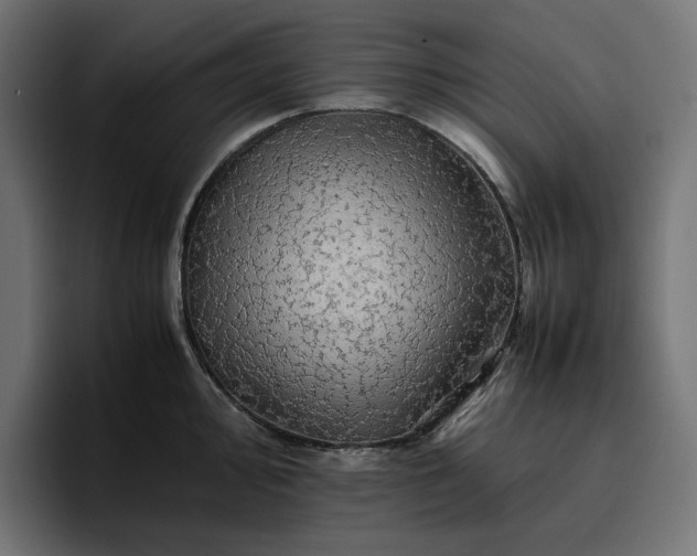 X0000096701000200802191444