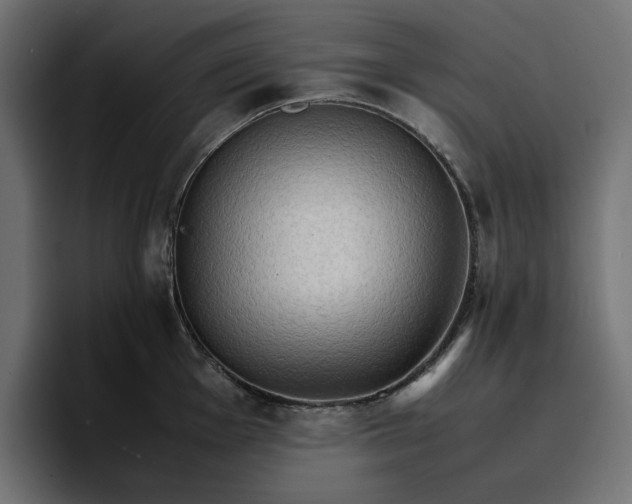 X0000096701001200802191444