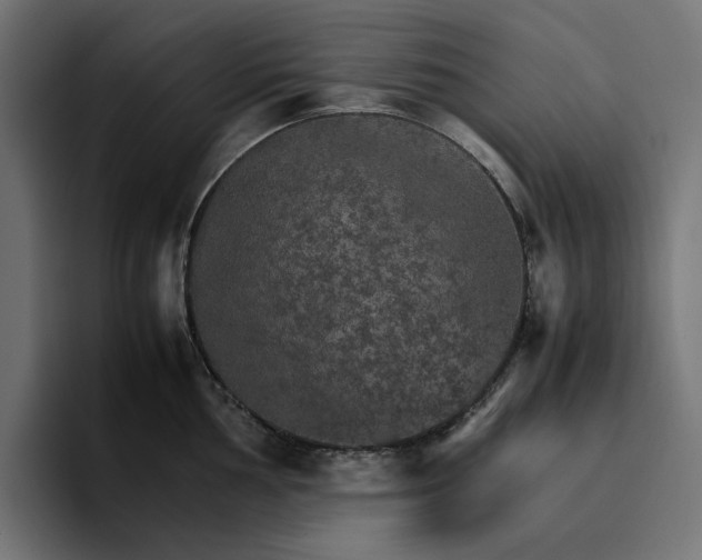 X0000096701002200802191444