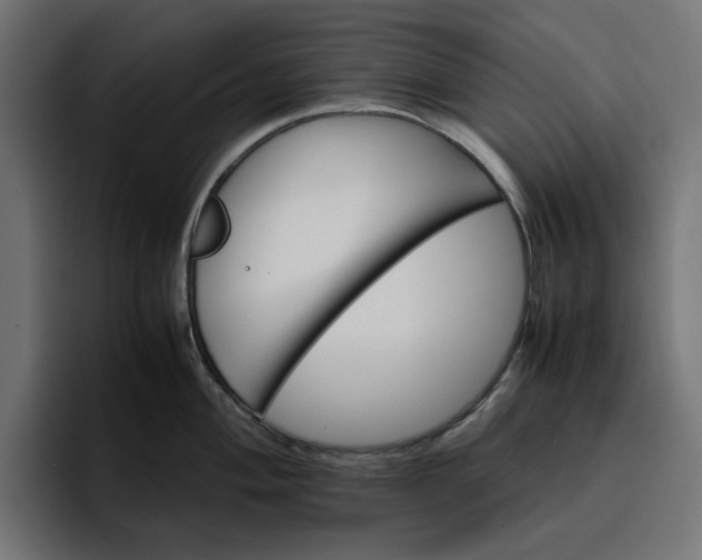 X0000096701004200802191444