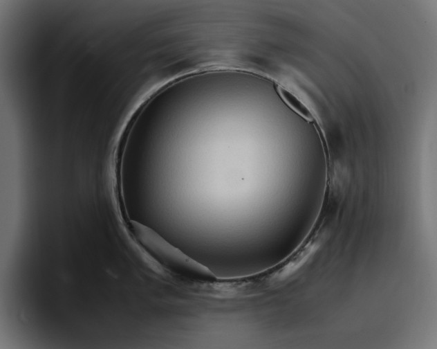 X0000096701005200802191444