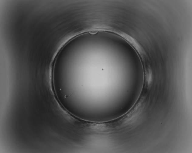 X0000096701006200802191444