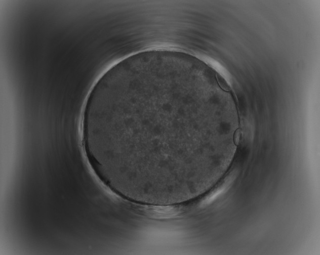 X0000096701007200802191444