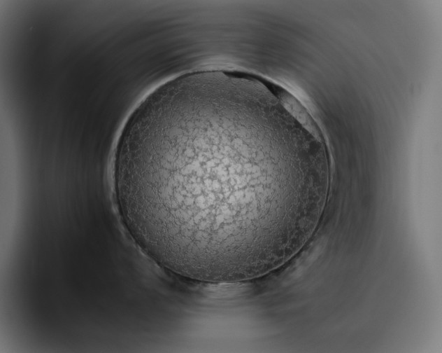 X0000096701008200802191444