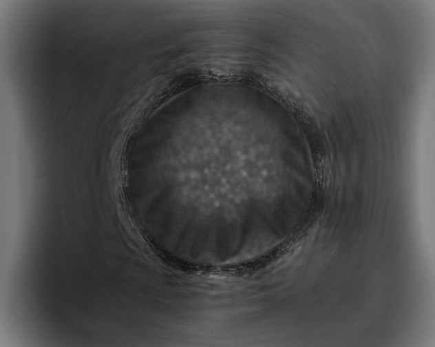 X0000096701009200802191444