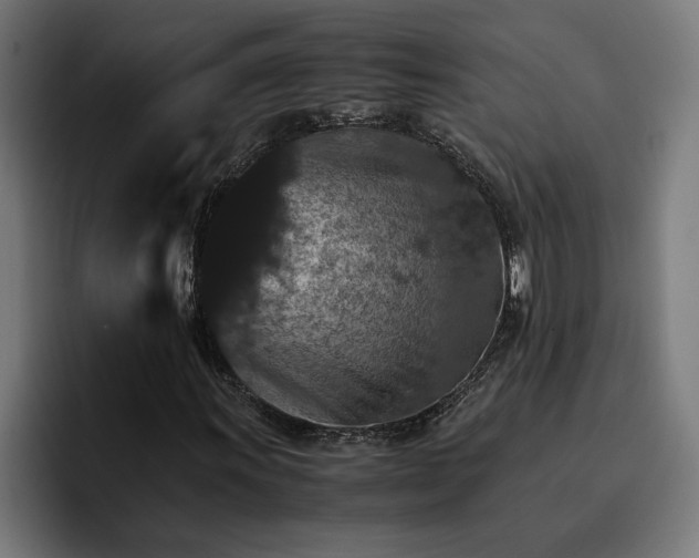 X0000096701011200802191444
