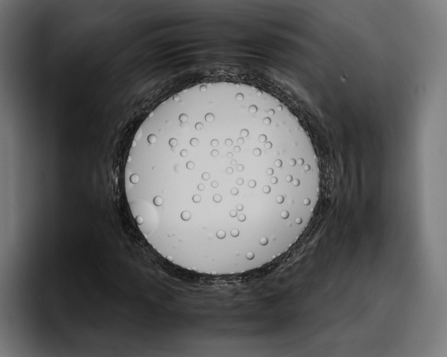 X0000096701013200802191444