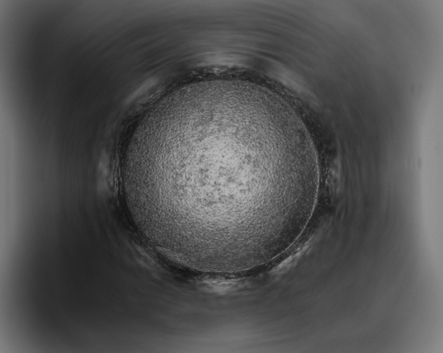 X0000096701014200802191444