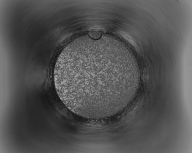X0000096701015200802191444
