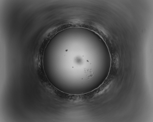 X0000096701016200802191444