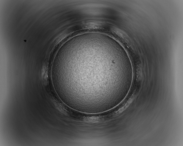 X0000096701017200802191444