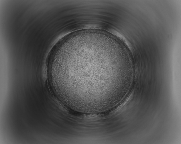 X0000096701019200802191444