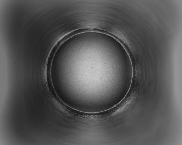 X0000096701020200802191444