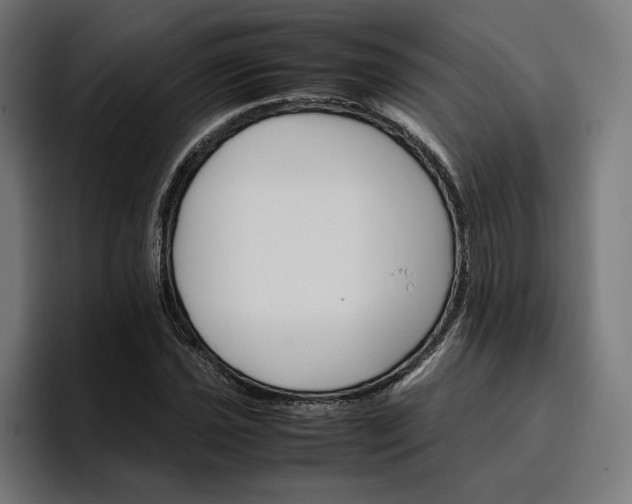 X0000096701021200802191444