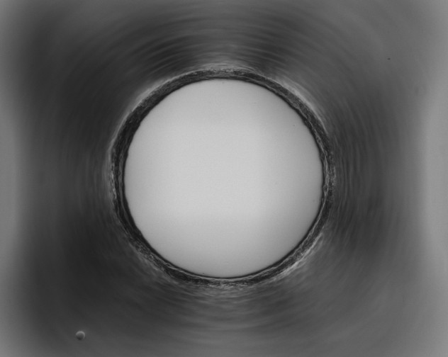 X0000096701022200802191444