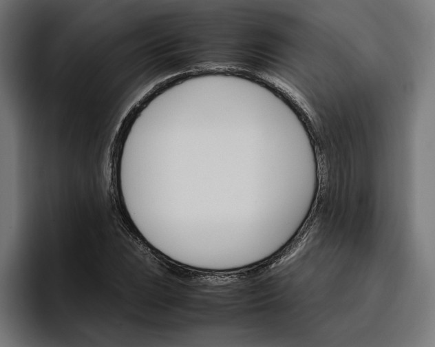 X0000096701023200802191444