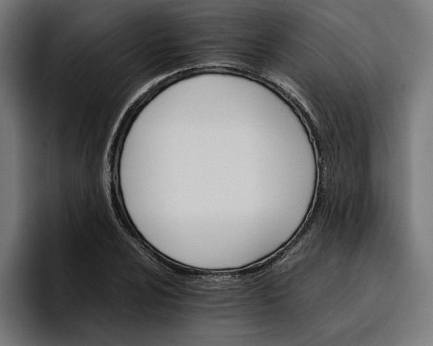 X0000096701024200802191444