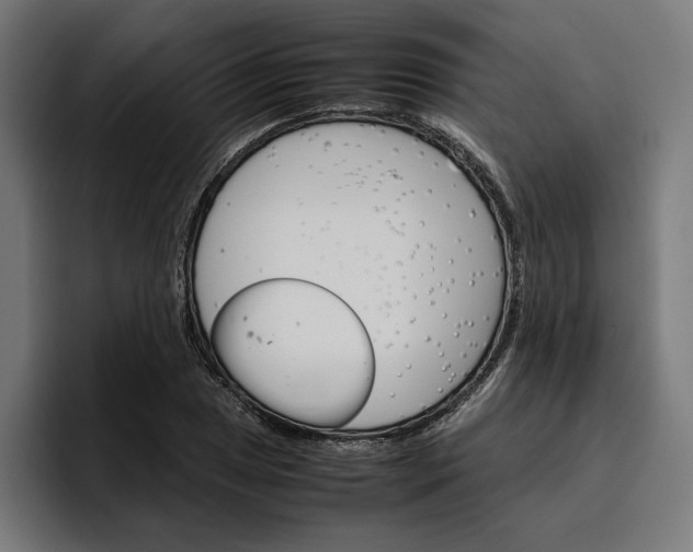 X0000096701025200802191444