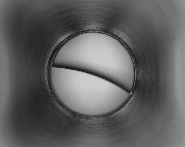 X0000096701026200802191444