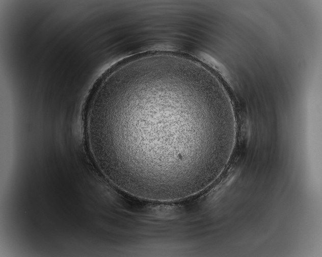 X0000096701027200802191444