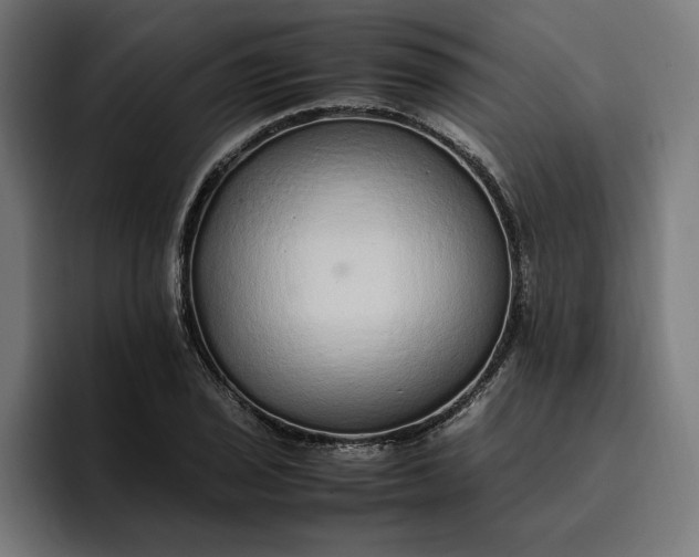 X0000096701029200802191444