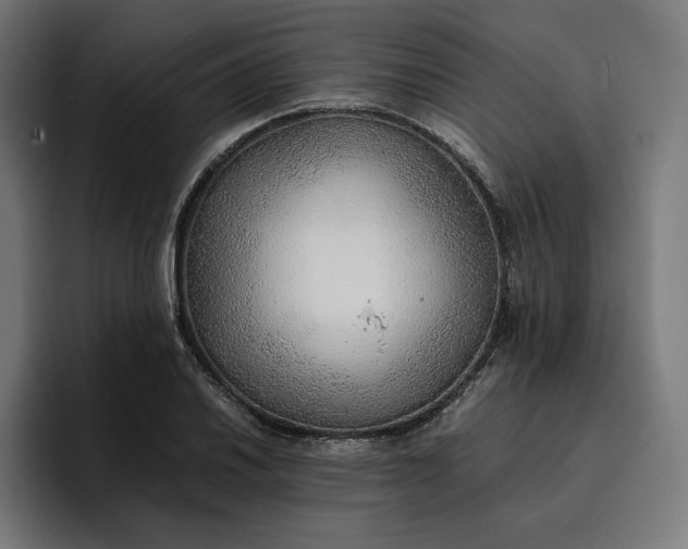 X0000096701030200802191444