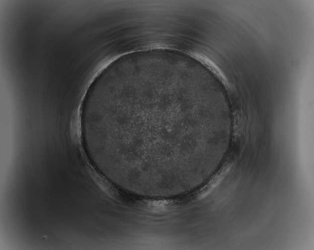 X0000096701031200802191444